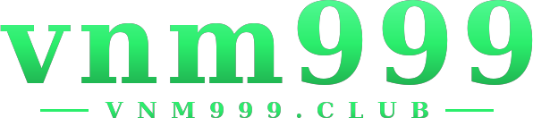 vnm999 logo